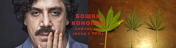 мет Гатчина