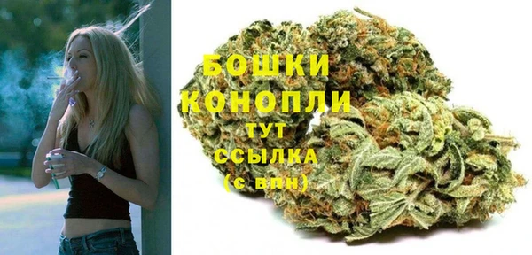 стафф Горняк