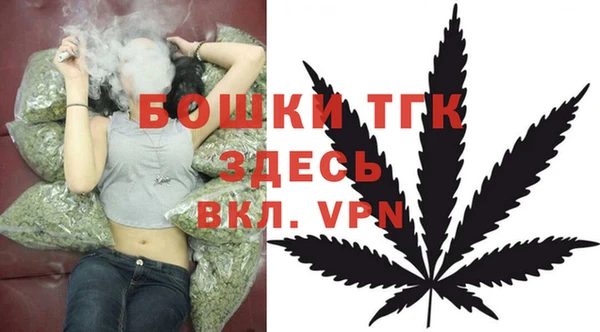 МДПВ Нея